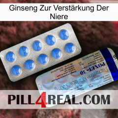 Ginseng Zur Verstärkung Der Niere 39